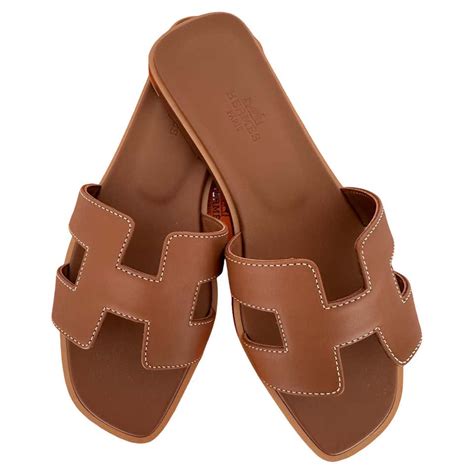 teddy hermes slippers|Oran .